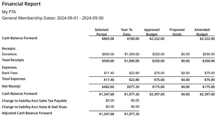 Example PTA Financial Report